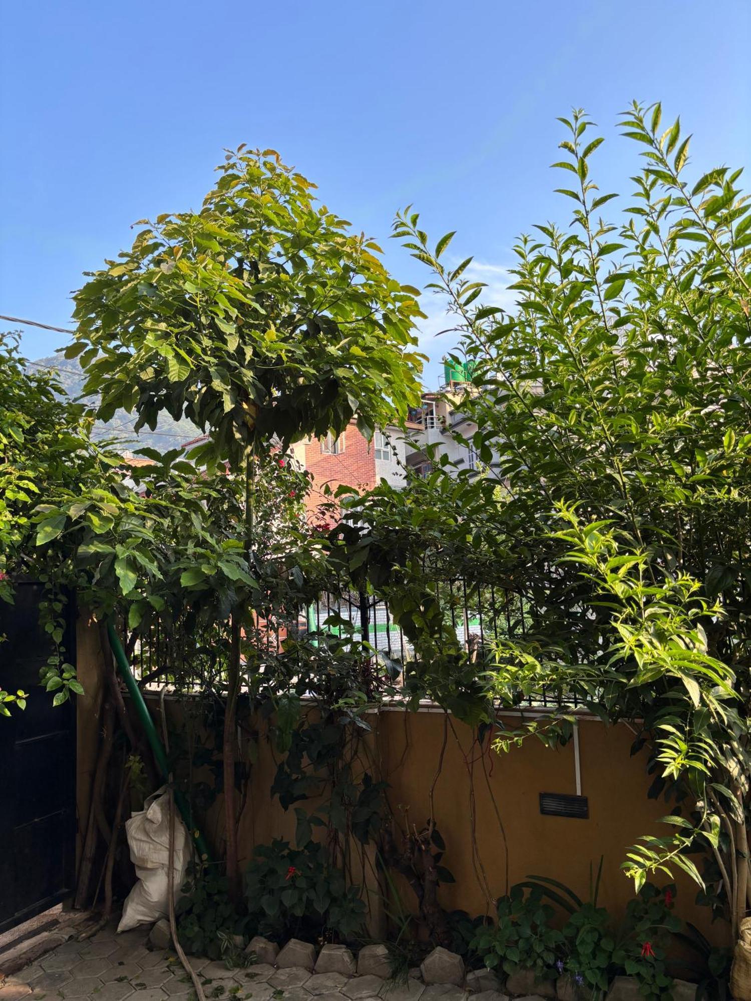 Mums Homestay & Studio Apartments Κατμαντού Εξωτερικό φωτογραφία